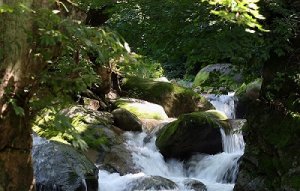 beats365(中国区)-唯一官方网站