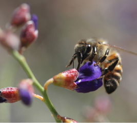 beats365(中国区)-唯一官方网站