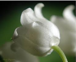 beats365(中国区)-唯一官方网站