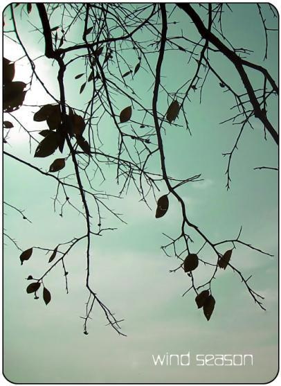 beats365(中国区)-唯一官方网站