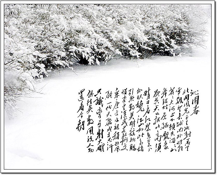 beats365(中国区)-唯一官方网站