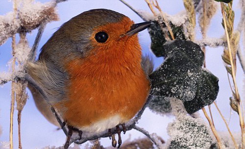 beats365(中国区)-唯一官方网站