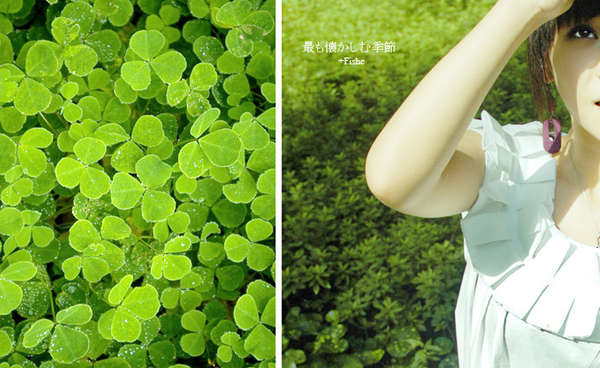 beats365(中国区)-唯一官方网站