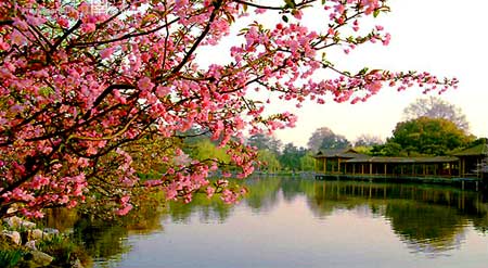 beats365(中国区)-唯一官方网站