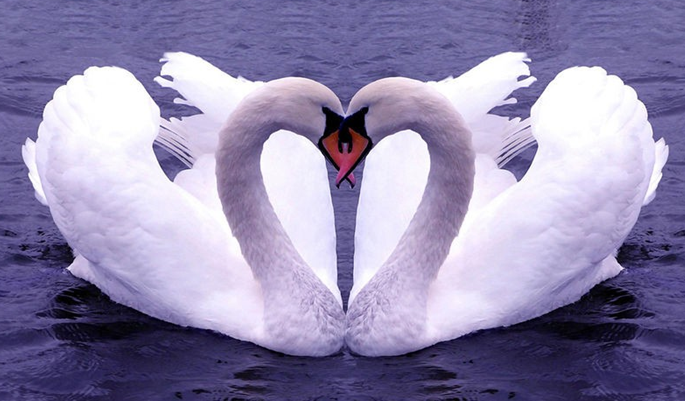 beats365(中国区)-唯一官方网站