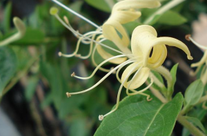 beats365(中国区)-唯一官方网站