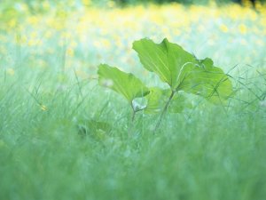 beats365(中国区)-唯一官方网站