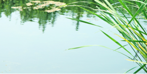 beats365(中国区)-唯一官方网站