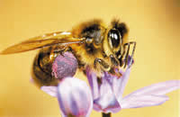 beats365(中国区)-唯一官方网站