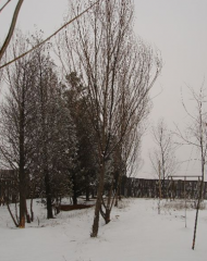 beats365(中国区)-唯一官方网站