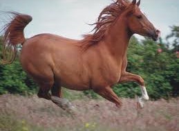 beats365(中国区)-唯一官方网站